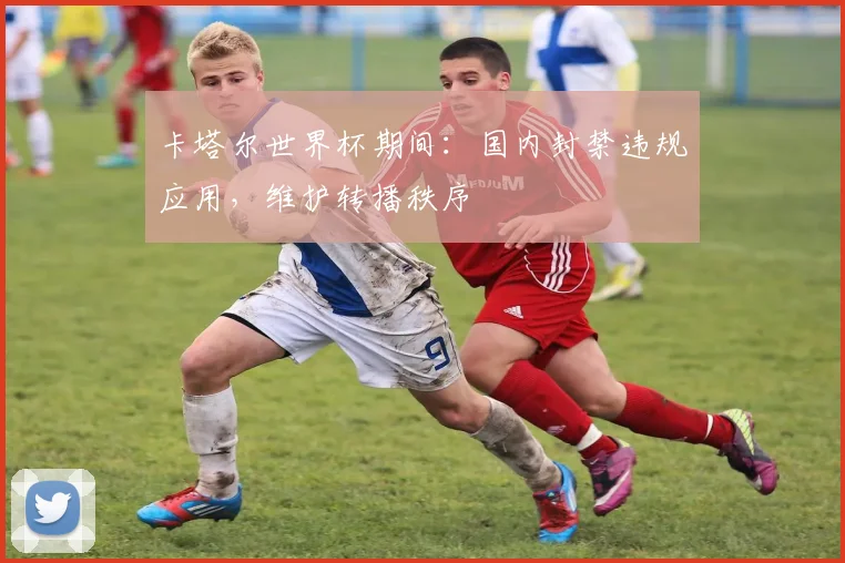 卡塔尔世界杯期间：国内封禁违规应用，维护转播秩序