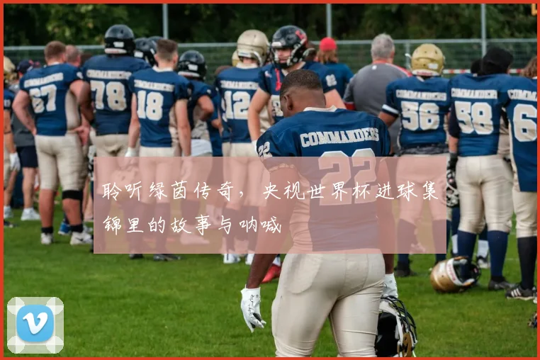 聆听绿茵传奇,央视世界杯进球集锦里的故事与呐喊