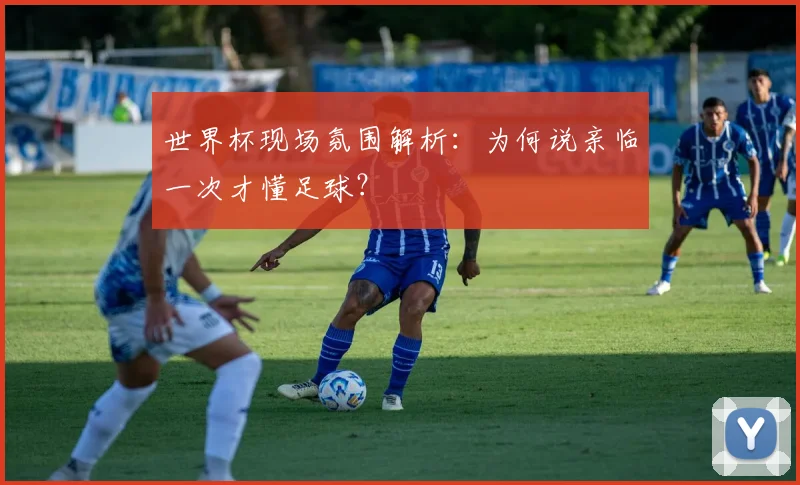 世界杯现场氛围解析:为何说亲临一次才懂足球?