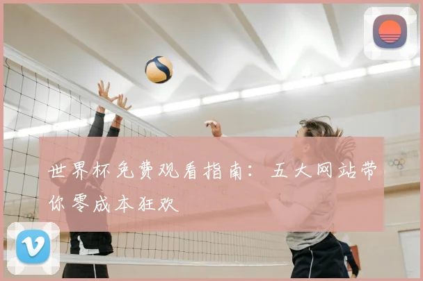 世界杯免费观看指南：五大网站带你零成本狂欢