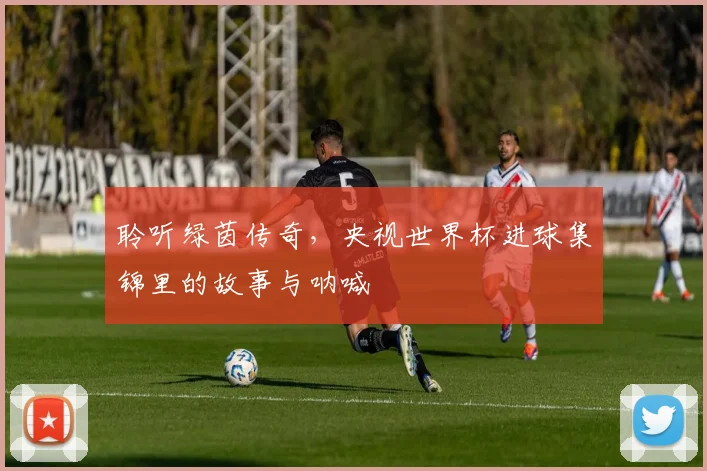 聆听绿茵传奇,央视世界杯进球集锦里的故事与呐喊