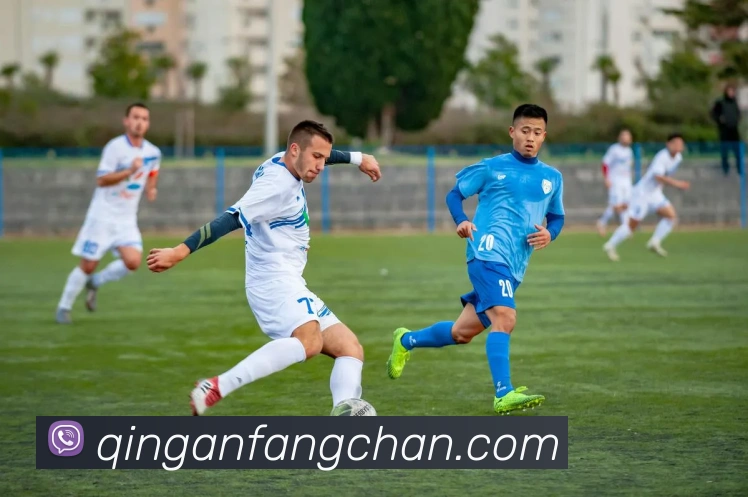 beat365网址服务体系