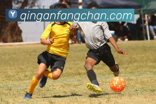 beat365网址APP 体育赛事宣传图